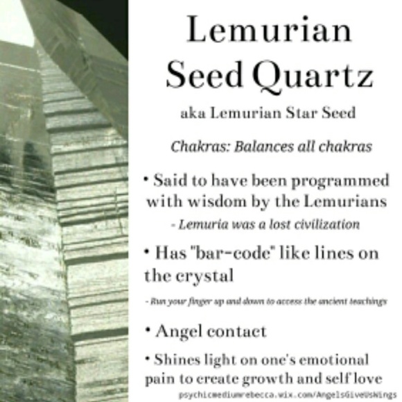 -HP- Lemurian Crystal Spider Web - Picture 12 of 13